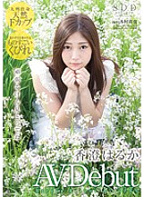 AVOP-126 Kasumi Haruka AVDebut - Haruka Kasumi