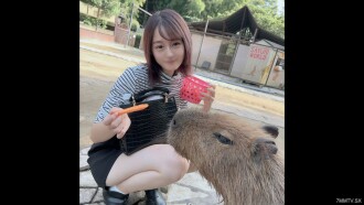 FC2-PPV-4265371 The first round of success! ! Limited time 3 days! ! Cute and simple Moe girl ◯ University student in the depths of the forest, ejaculation in the mouth! ! In addition, there was a closed room, and the immature body was shot in the next 