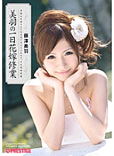 ABS-116 Miu's One Day Bridal Training Miu Fujisawa
