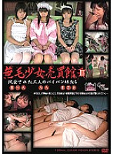 YSMD-03 Hairless Girl Trading House 3 - Marin Izumi